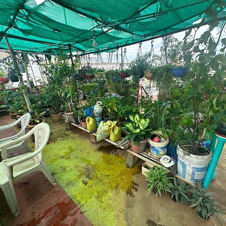 海得拉巴Jmj Residency别墅 外观 照片